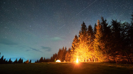 Campfire glows warmly beside several illuminated tents on grassy clearing under star-filled sky with...