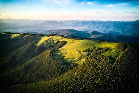 Aerial view of mountain hills covered pine forest.