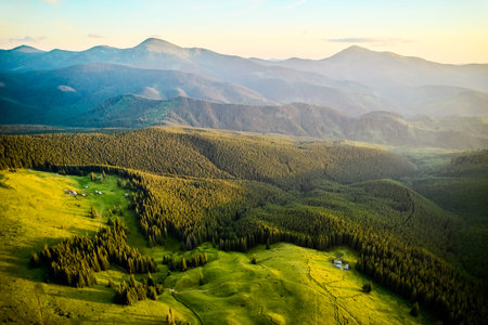Aerial view of mountain hills covered pine forest.の写真素材