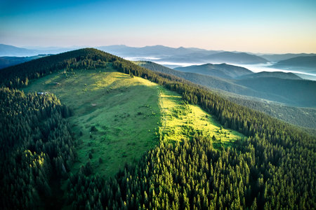Aerial view of vast, forested landscape under clear blue sky. Rolling green hills stretch into...