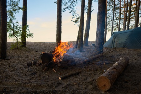 Tourism, adventure, traveling, camping, active lifestyle, trekking and hiking concept. Picture of campsite with fireplace with blazing fire and tent among trees in background, no people aroundの写真素材