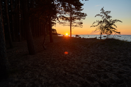 Beautiful summer view of deserted sandy beach and forest at sunset. Amazing landscape of wild nature with red sun rising at dusk, clear pink and blue morning sky and calm sea waves. Horizontal shotの写真素材