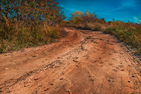 Country road to forest and the blue skyの写真素材