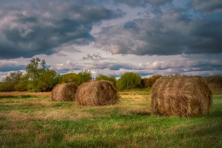 hay stack in a summer field. Beautiful landscape with storm cloudsの写真素材