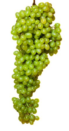 Big bunch of green grapes with water drops on it, isolatedの写真素材