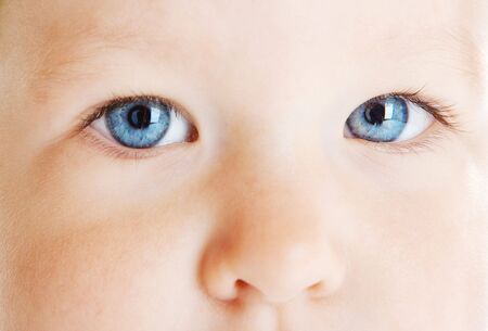 Baby blue eyes, shot closeupの写真素材