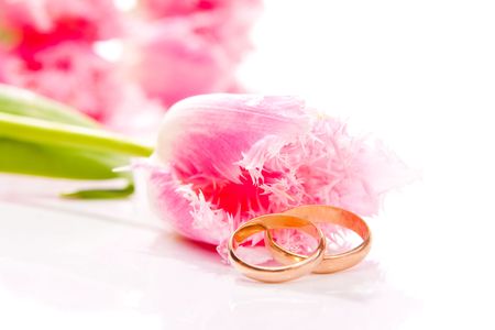 Wedding rings and pink tulip flowersの写真素材