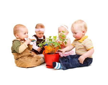 A group of beautiful babies sitting around a pot plantの写真素材
