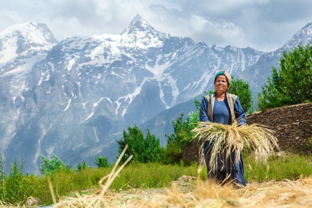 Smiling mature woman with a bunch of wheat, in Himalaya mountainsの写真素材