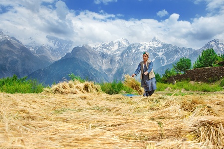 Woman in mountain village drying harvest の写真素材