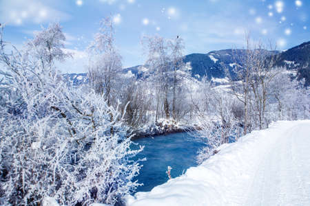 Winter rural landscape with river and trees covered with snowの写真素材