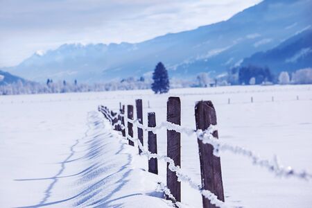 Wooden fence in winter fields の写真素材
