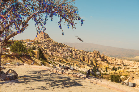 Pigeons flying in the Pigeons valley in Cappadocia, Turkey. Tree full of hanging Nazar amulets, special eye-shaped objects believed to protect against the evil eye.の写真素材