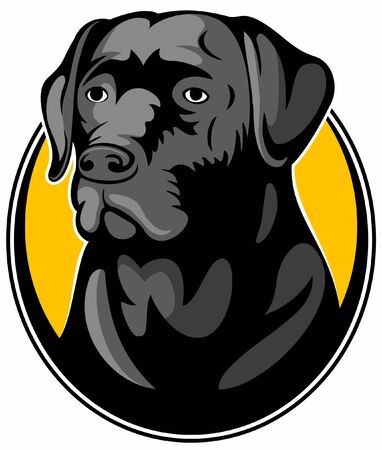 Realistic black labrador retriever dog, vector image.のイラスト素材