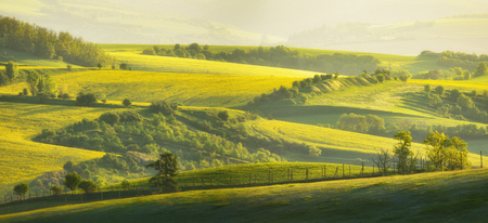 A beautiful spring landscape of the hills of South Moravia in the morning light. Rural landscape of nature with trees and fence on green hills, Czech Republic. Amazing morning light.の写真素材