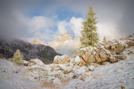Autumn in the mountains Cinque Torri (The Five Pillars), snow in the mountains in autumn, trees in the snow, autumn day, Dolomites, Italy.の写真素材