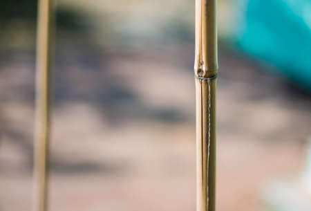 Bamboo stick