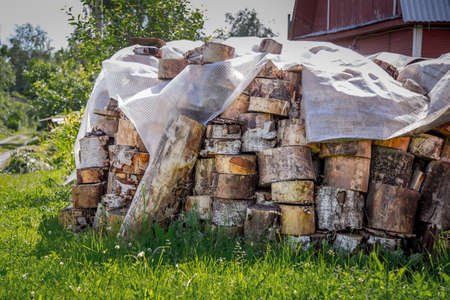 Birch firewoodの写真素材