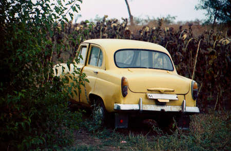 Old beige car. Still on the go. It is in the forest, on the field road. Back view. There is room for...