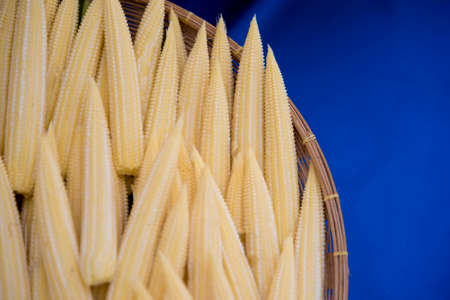 baby corn