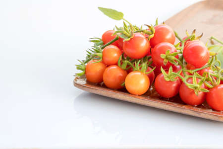 fresh tomatoes