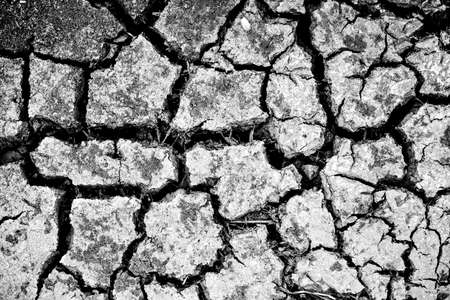 Surface crack textureの写真素材