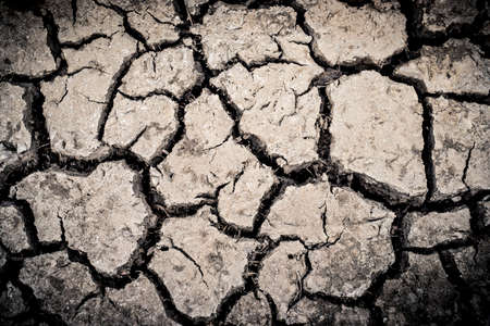 Surface crack textureの写真素材