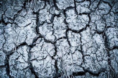 Surface crack textureの写真素材