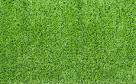 Large Green Grass textureの写真素材