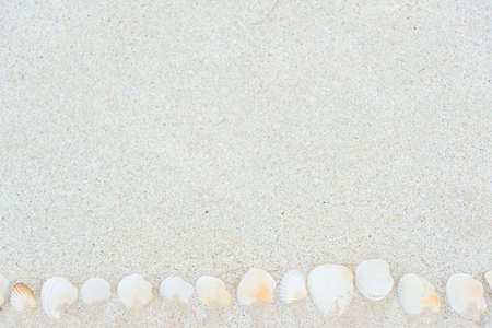 Sea Beach Sand Textureの写真素材