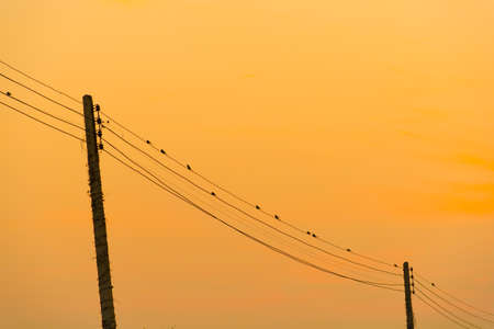 Sunset sky and Silhouette Birds on wireの写真素材