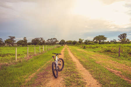 Mountain biking on single track beautiful nature green grass and cloud blue skyの写真素材