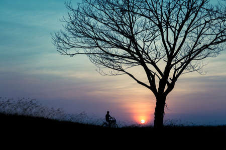Man with bicycle in garden beautiful sunset and leafless treeの写真素材