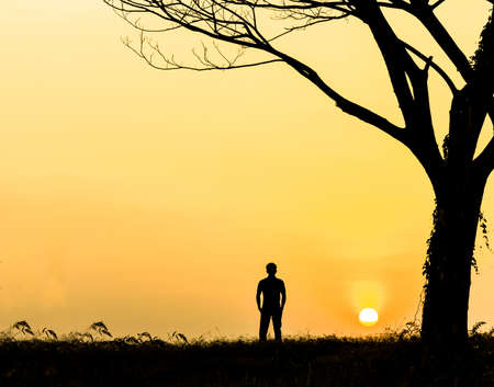 Silhouette Lonely Man in garden, beautiful sunset and leafless treeの写真素材