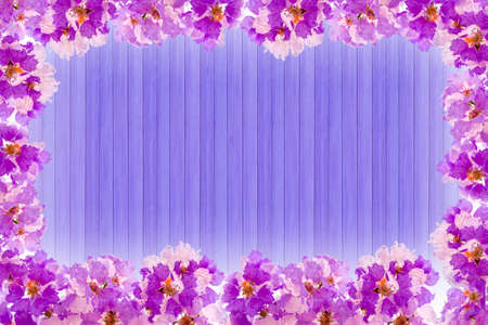 White & Pink flowers blooming background isolated on whiteの写真素材