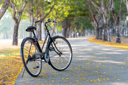 Vintage Bicycle, Old bicycleの写真素材