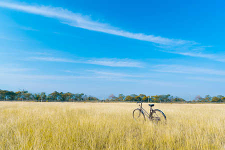Vintage Bicycle, Old bicycleの写真素材