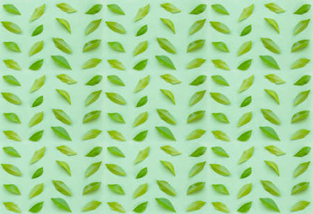Seamless leaves on green textureの写真素材