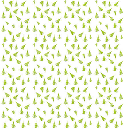 Fern Green leaves textureの写真素材