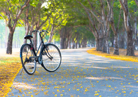 Vintage Bicycle, Old bicycleの写真素材