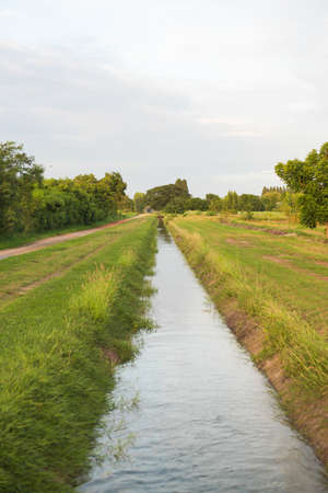 Irrigation Waterの写真素材