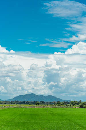 Green filed with a beautiful Blue sky and Cloudsの写真素材