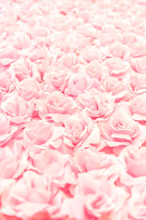 Soft focut of pink Artificial Roseの写真素材
