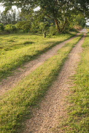Beautiful nature track country roadの写真素材