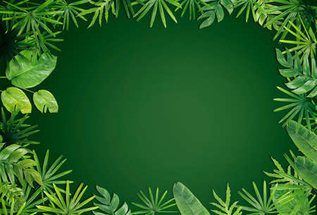 Green leaf border backgroundの写真素材