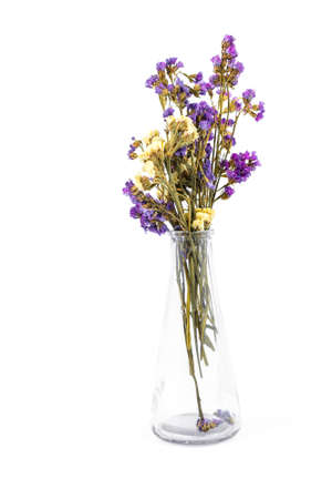 Dry Statice flowers in glass vase on white backgroundの写真素材