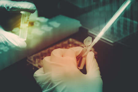 Laboratory Hand of Researceher  samples load to Microcentrifuge tubeの写真素材