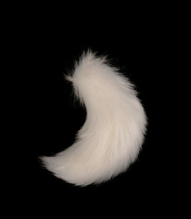 White Fox Tail on black backgroundの写真素材