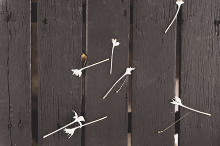 Black wood with small flowersの写真素材