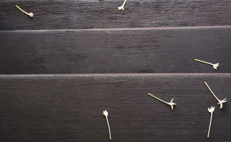 Black wood with small flowersの写真素材